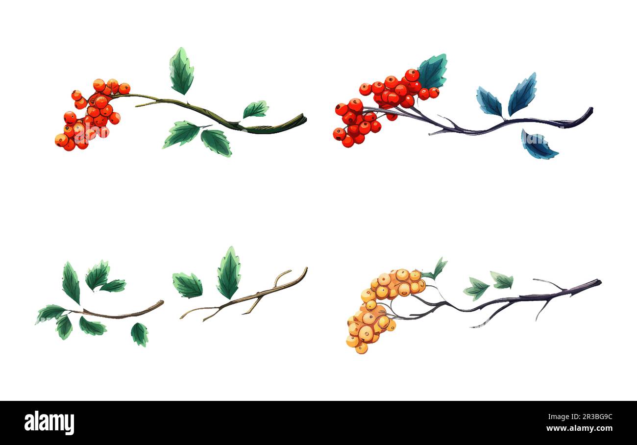 set vector illustration autumn bouquet elements isolated on white ...