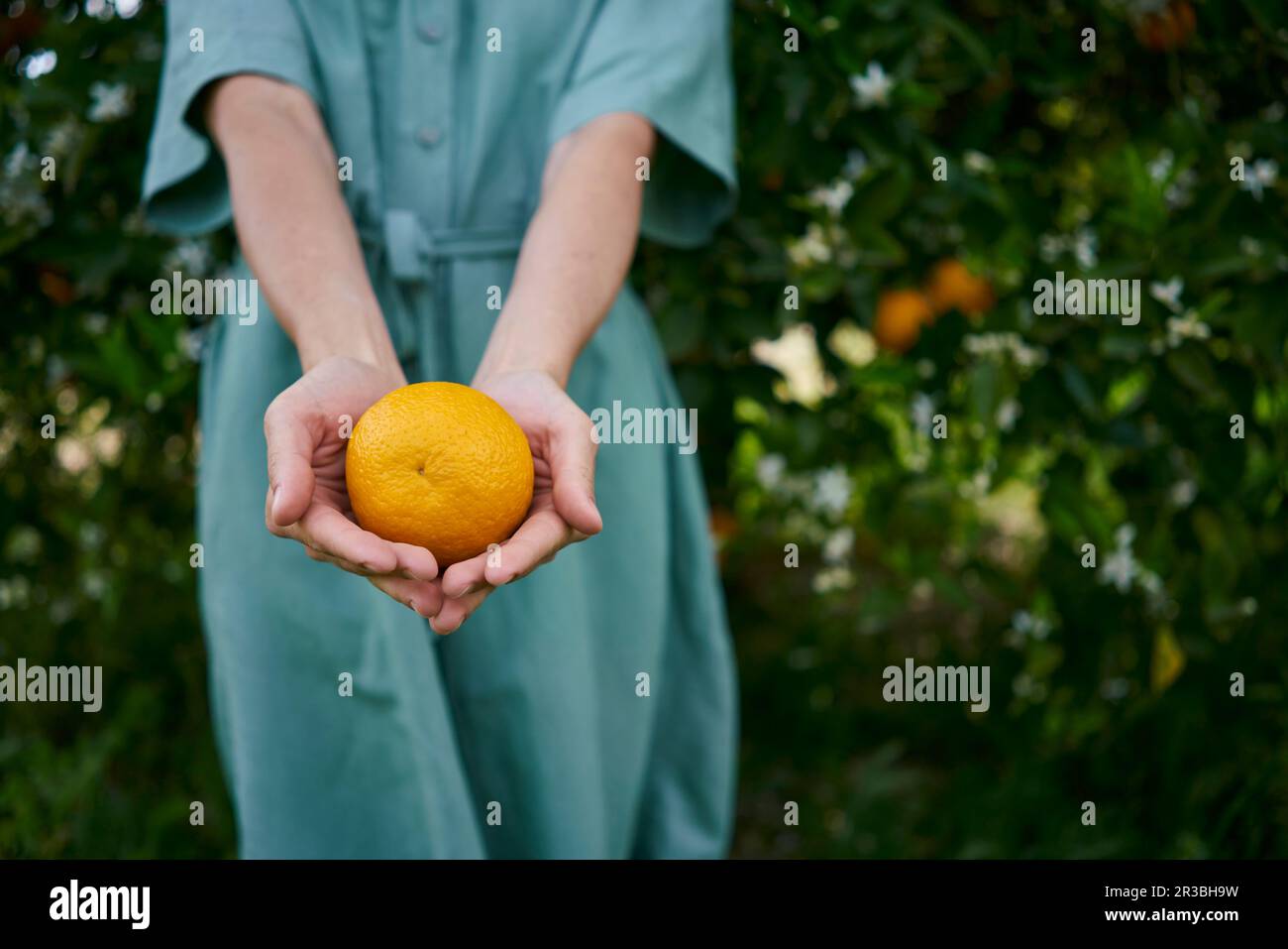 Woman holding fruit in her hands hi-res stock photography and images ...