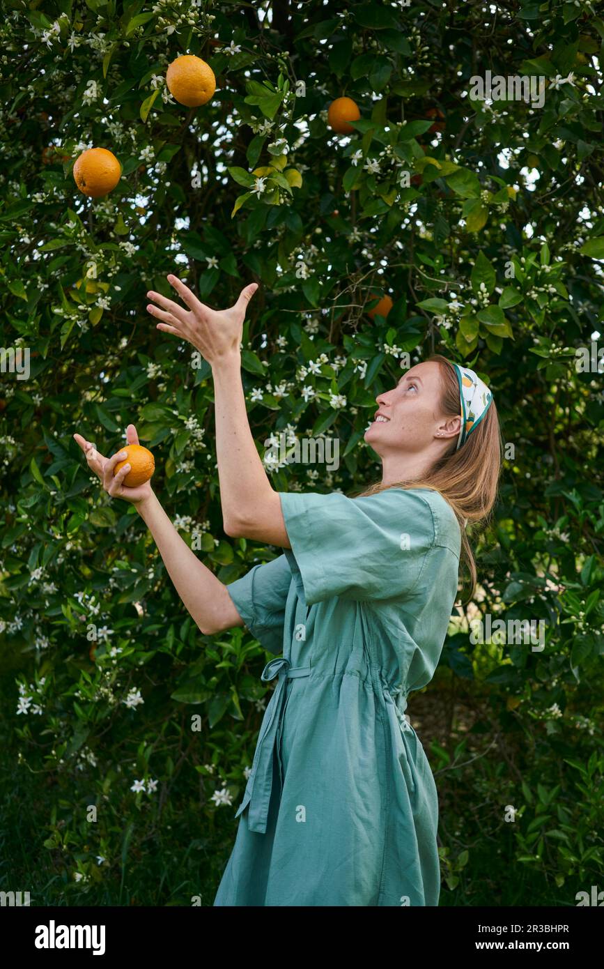 Woman juggling with oranges in front of tree at orchard Stock Photo Alamy