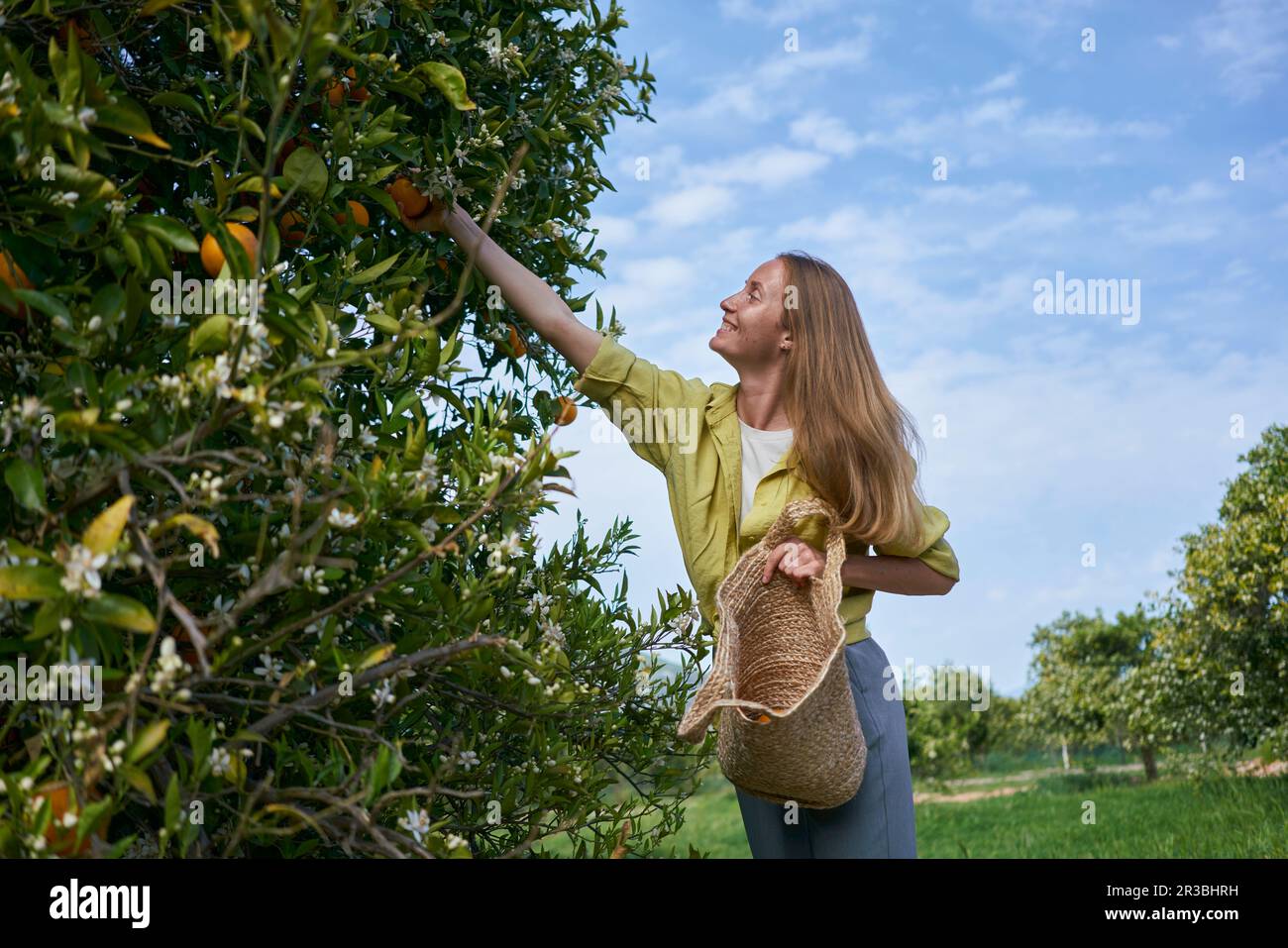 Young Beautiful Teen Girl 14-16 Year Old Posing In Apple Orchard. Wearing  White Elegant Dress. Summer Time. Stock Photo, Picture and Royalty Free  Image. Image 77590954.