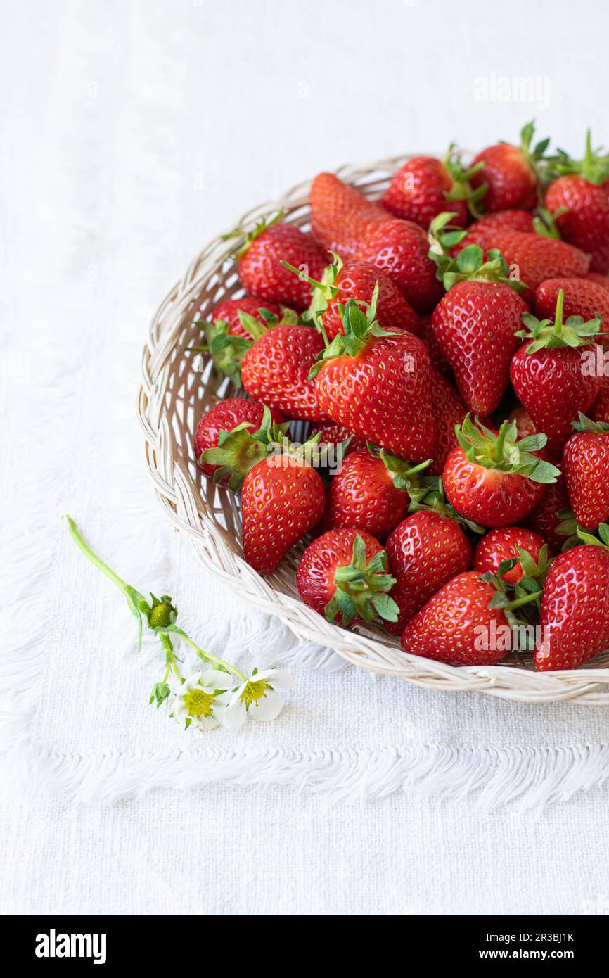 Strawberries from the garden hi-res stock photography and images - Alamy