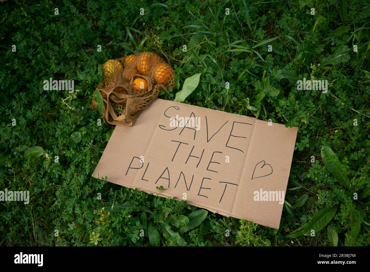 Mesh bag with oranges by Save The Planet text on cardboard cut out Stock Photo