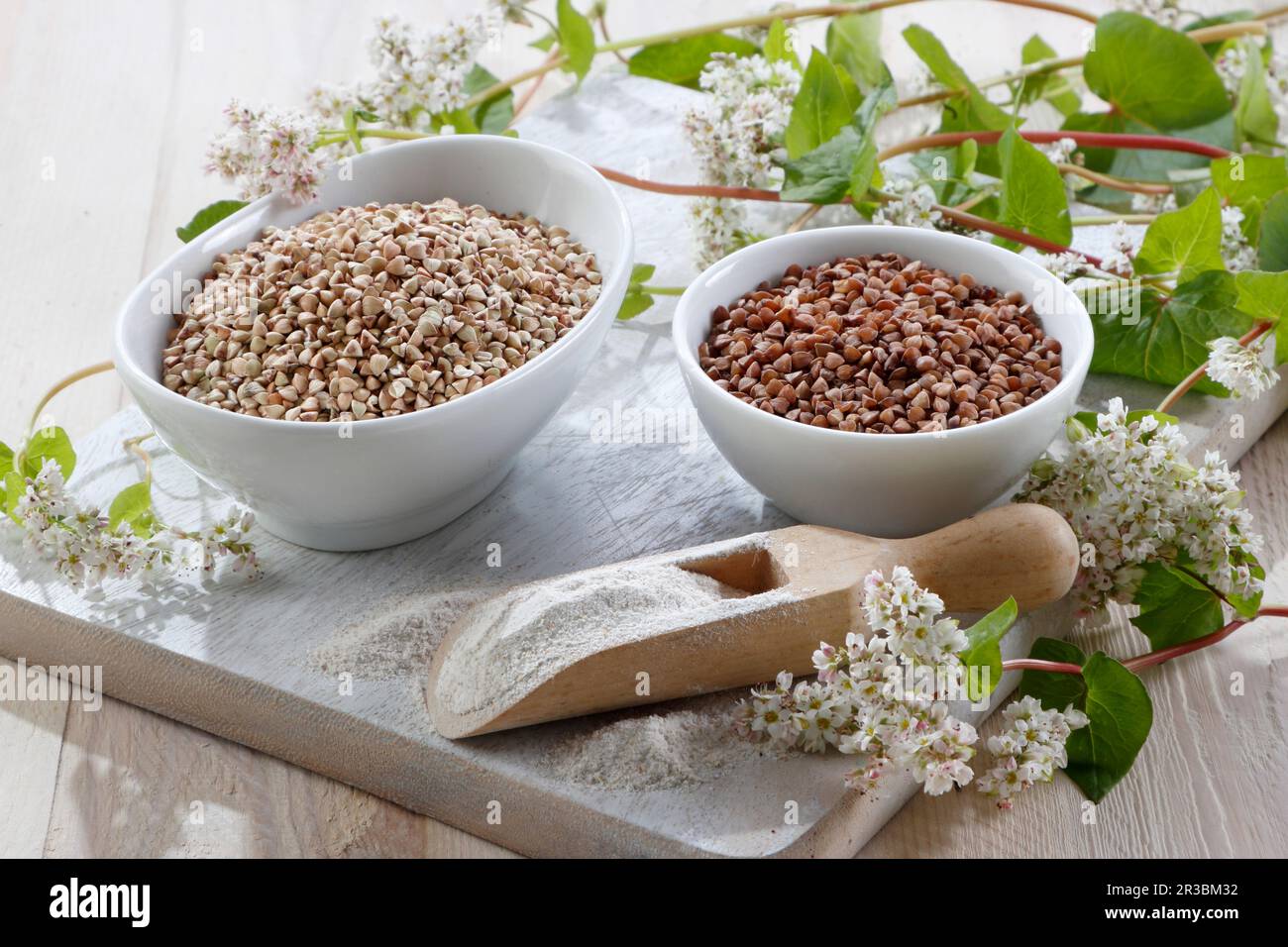 Roasted and unroasted buckwheat groats with buckwheat flowers Stock
