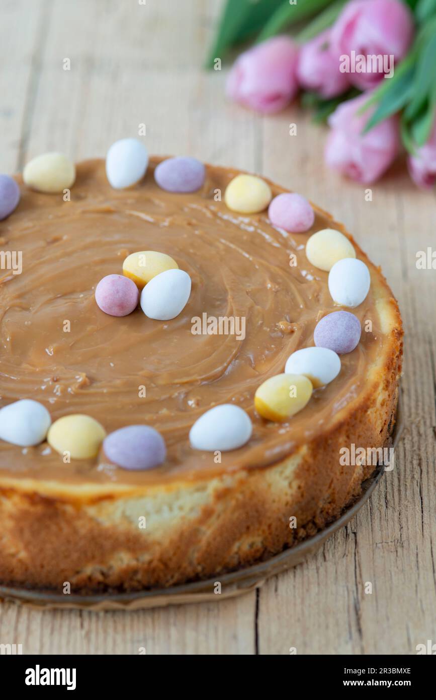 Cheescake decorated with chocolate eggs for easter Stock Photo