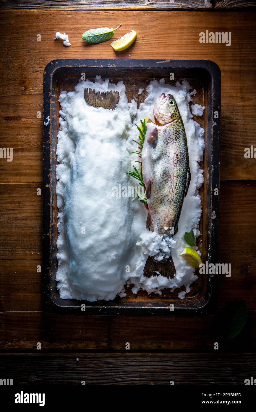 Trout in a salt crust Stock Photo Alamy