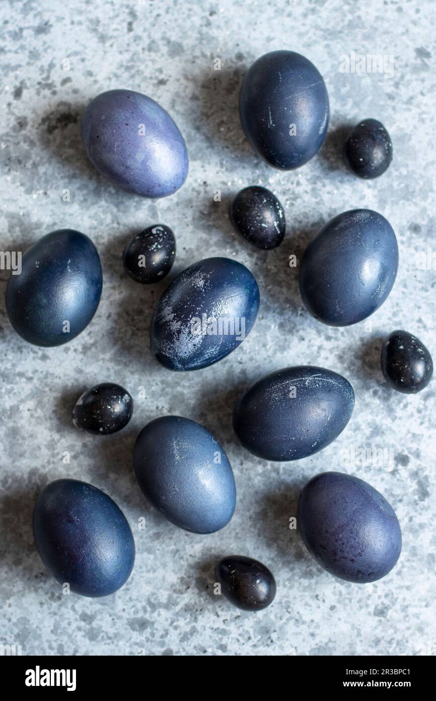 Blue Easter quail and chicken eggs Stock Photo
