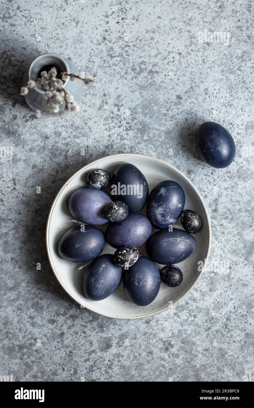 Blue Easter quail and chicken eggs Stock Photo