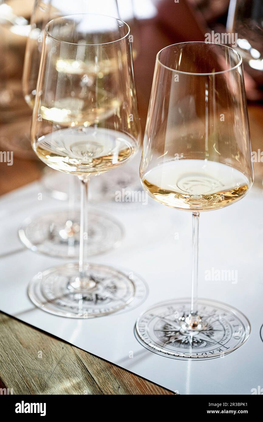 Glass Lined Wine Glass