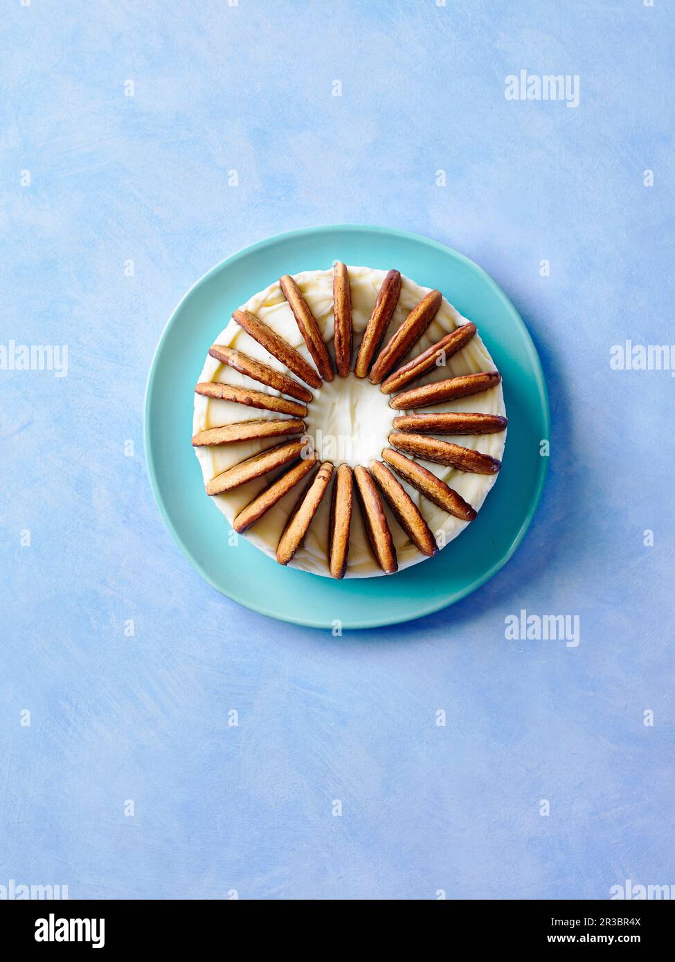 Chocolate Chip Cookie Ice Cream Cake Stock Photo