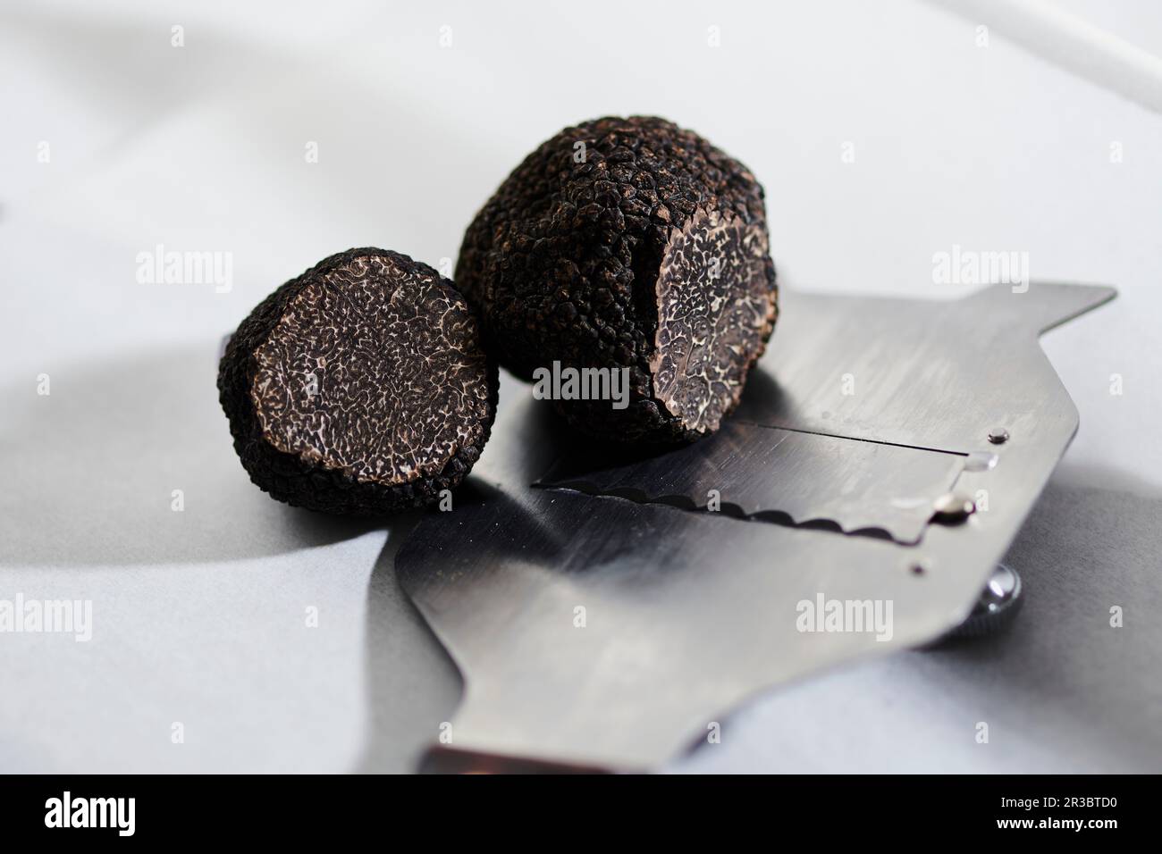 Black summer truffle Stock Photo Alamy