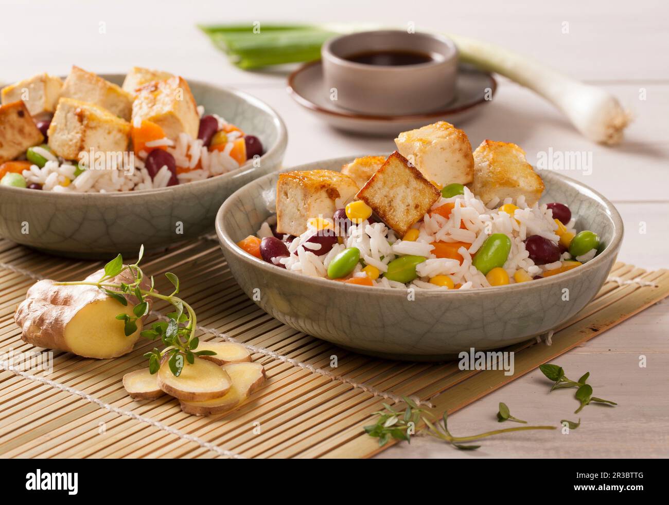 Rice with fried diced tofu, Edamame, sweetcorn and kidney beans Stock