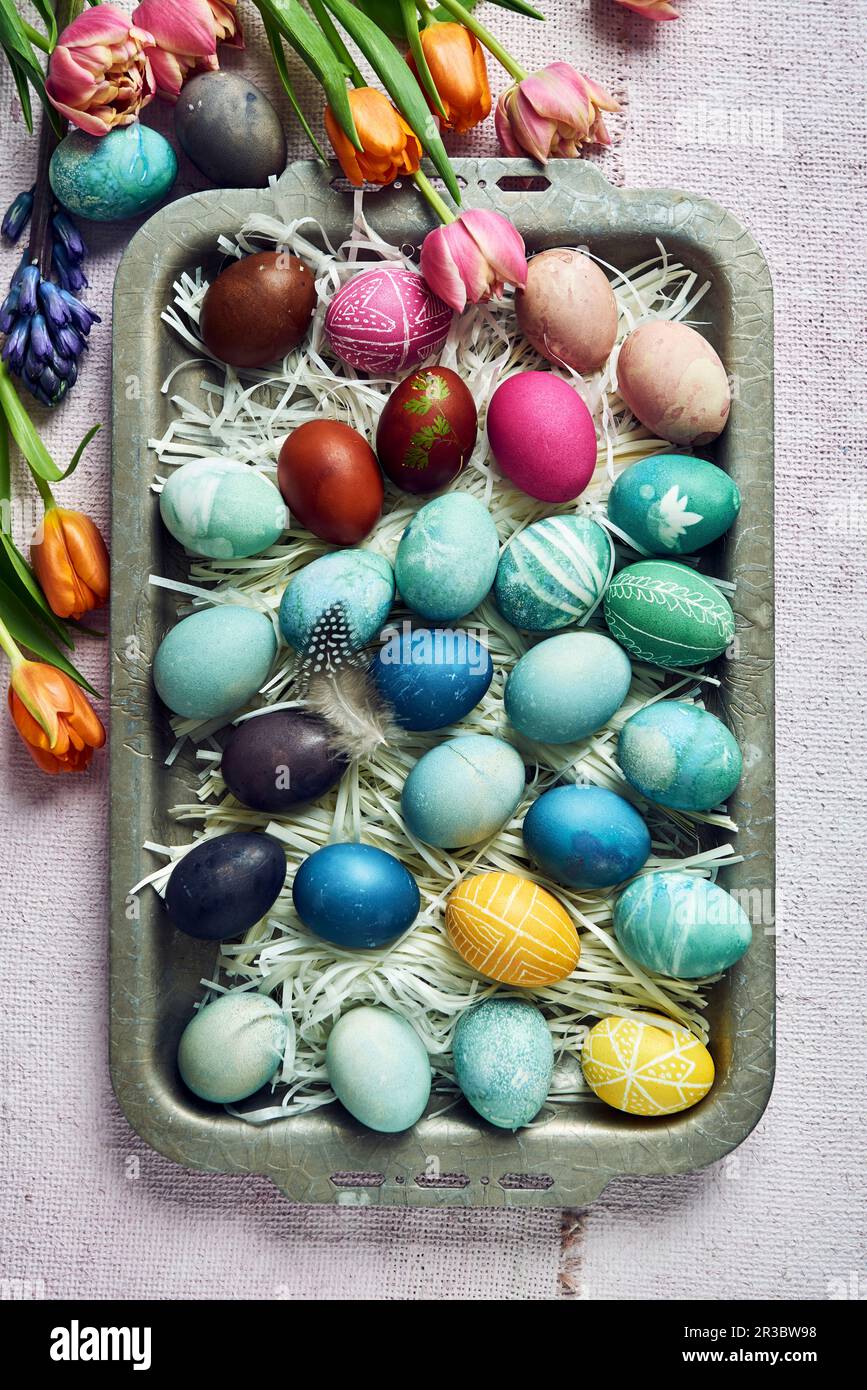 Colorful dyed Easter eggs Stock Photo