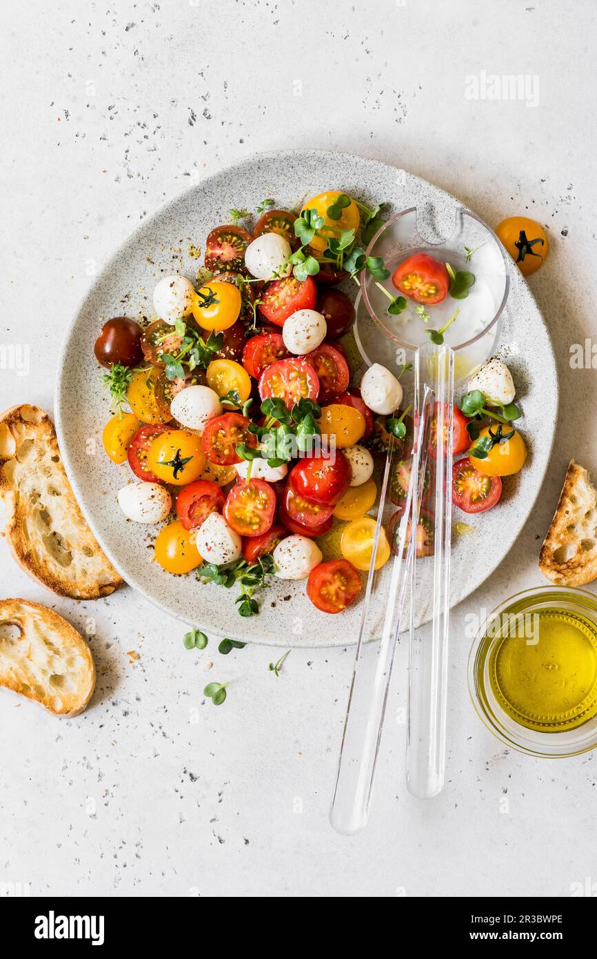 https://c8.alamy.com/comp/2R3BWPE/cherry-tomato-and-mozzarella-salad-with-japanese-white-radish-and-cress-micro-greens-2R3BWPE.jpg