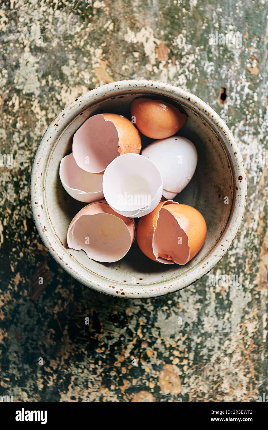 Brown and white egg shells Stock Photo