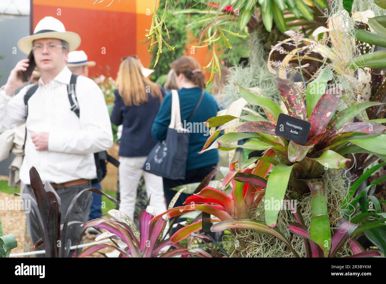 London, UK. 23rd May, 2023. The RHS Chelsea Flower Show opens to the public, with a sea of straw hats and floral dresses surrounding each of the show gardens. In the Grand Pavillion specialist plant growers draw crowds and sell bulbs, plants and seeds. Credit: Anna Watson/Alamy Live News Stock Photo