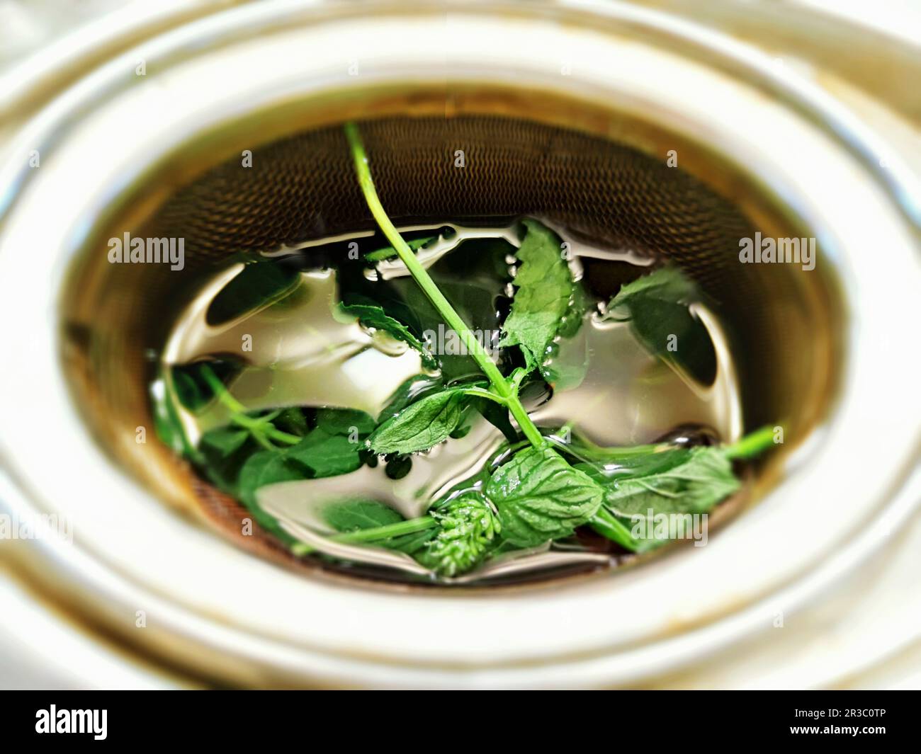 Mint tea brewed in a tea strainer Stock Photo Alamy