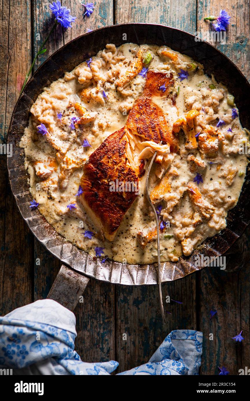Salmon with chanterelles in cream sauce Stock Photo Alamy