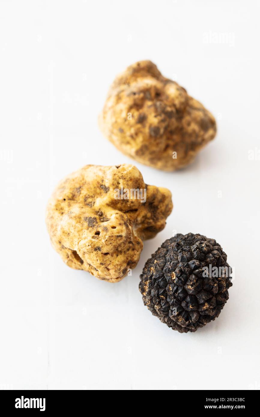 Two different types of truffle (white and black Stock Photo Alamy