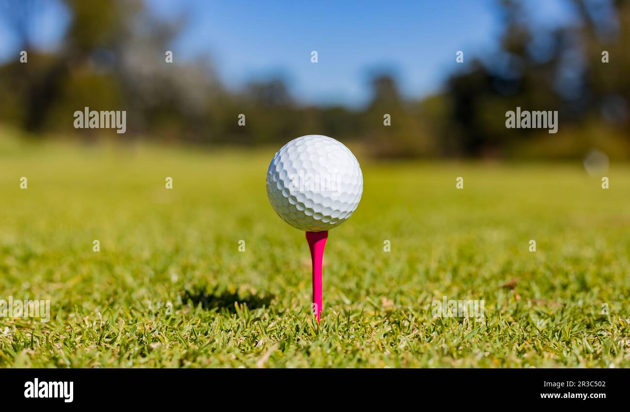 Golf Ball on a Tee at a Golf Course Stock Photo Alamy
