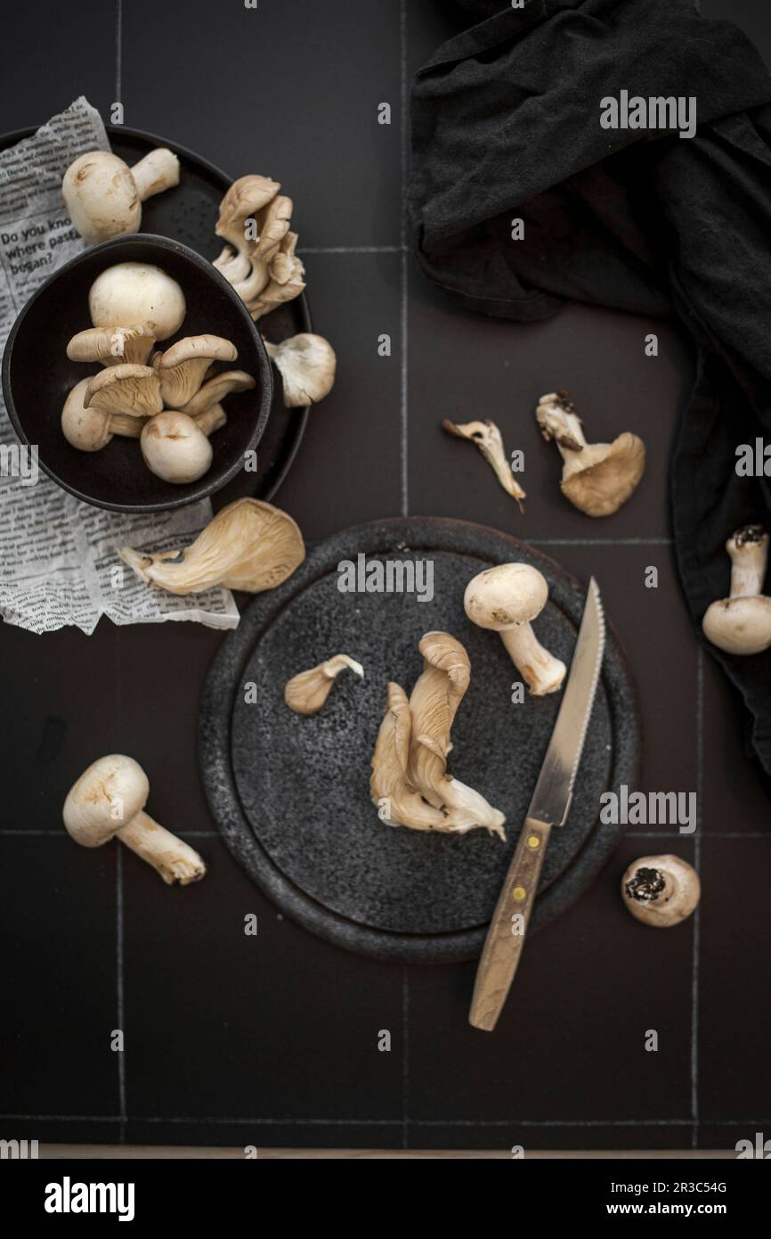 Mixed mushrooms on a black background Stock Photo