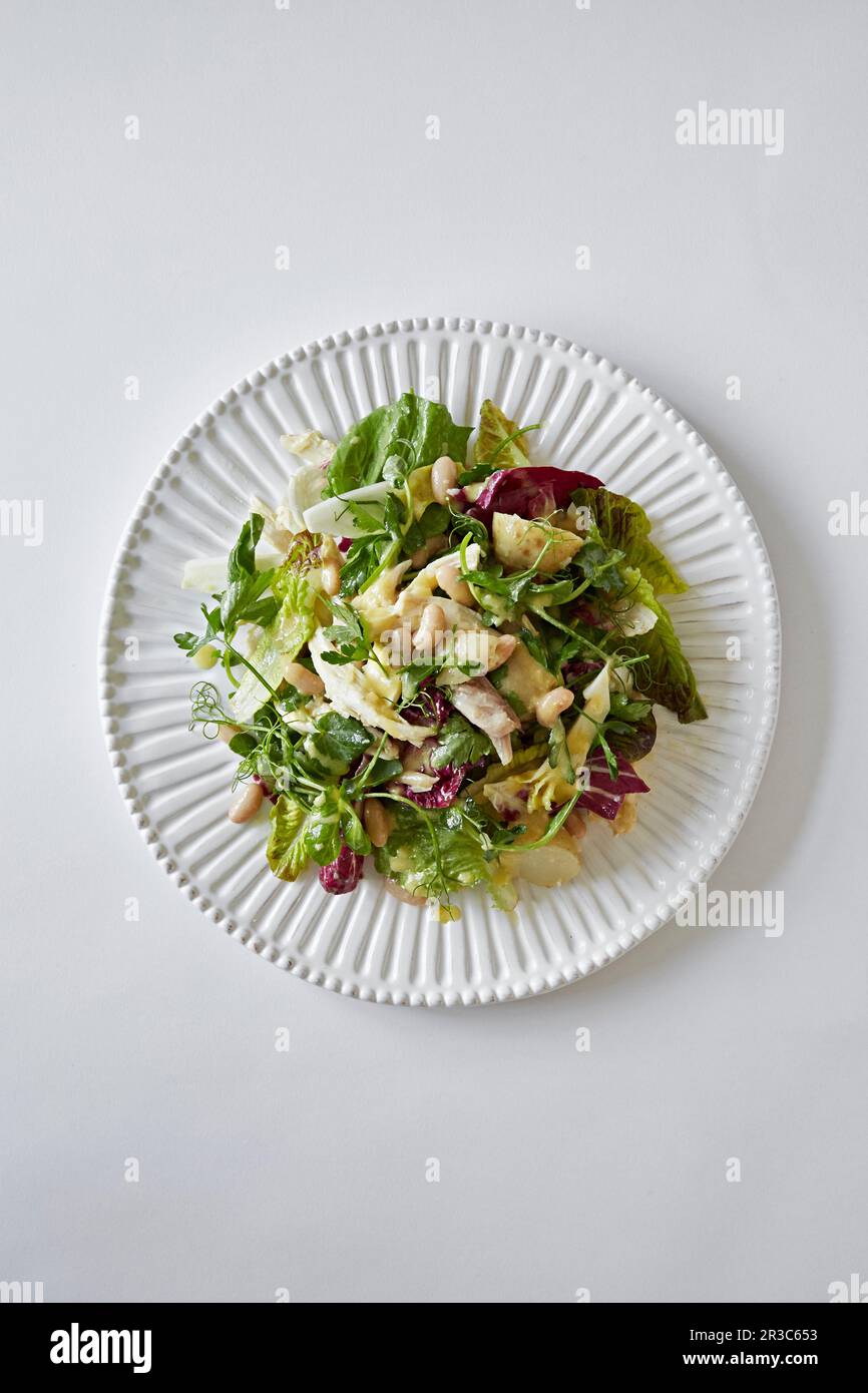 Chicken, potato, cannellini bean and leaf salad with dressing Stock Photo Alamy
