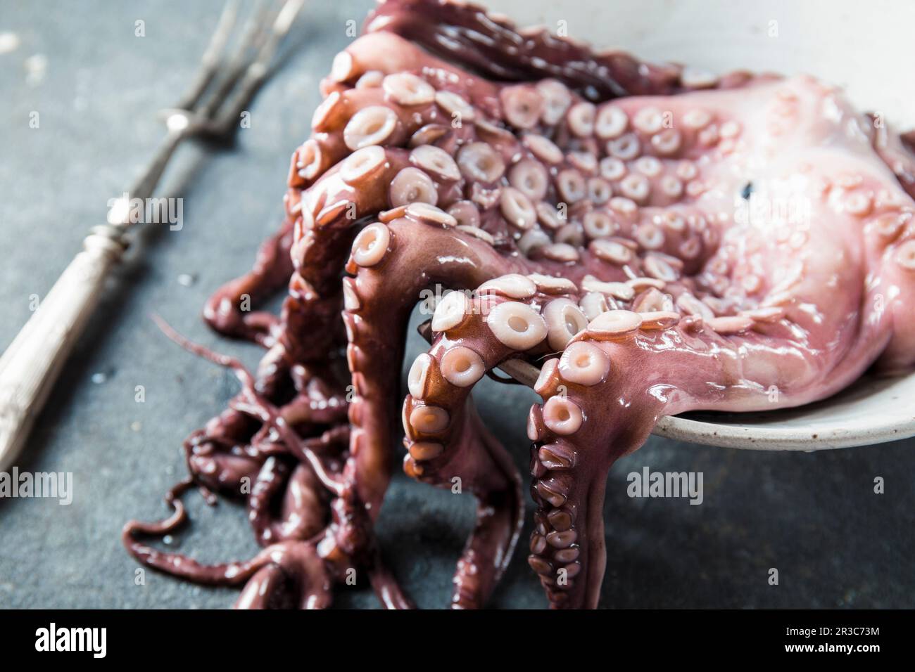 Large fresh octopus closeup, octopus legs hanging from the pan Stock