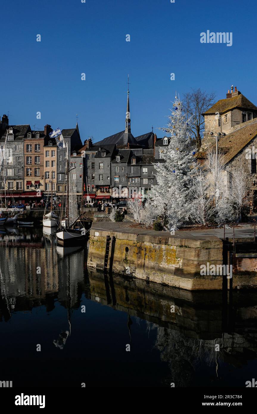 In the historic port of Honfleur in Calvados, Normandy, France, at the entrance to the Vieux Bassin, a white Christmas tree stands sentinel beside the Lieutenance, a group of buildings incorporating the former residence of the King’s Lieutenant.  The Lieutenance also incorporates vestiges of medieval ramparts built to defend Honfleur in the 1200s and 1300s, including remnants of the Porte de Caen, one of the town’s two medieval gateways. The Vieux Bassin was begun in 1668 as a new harbour for Honfleur. Stock Photo