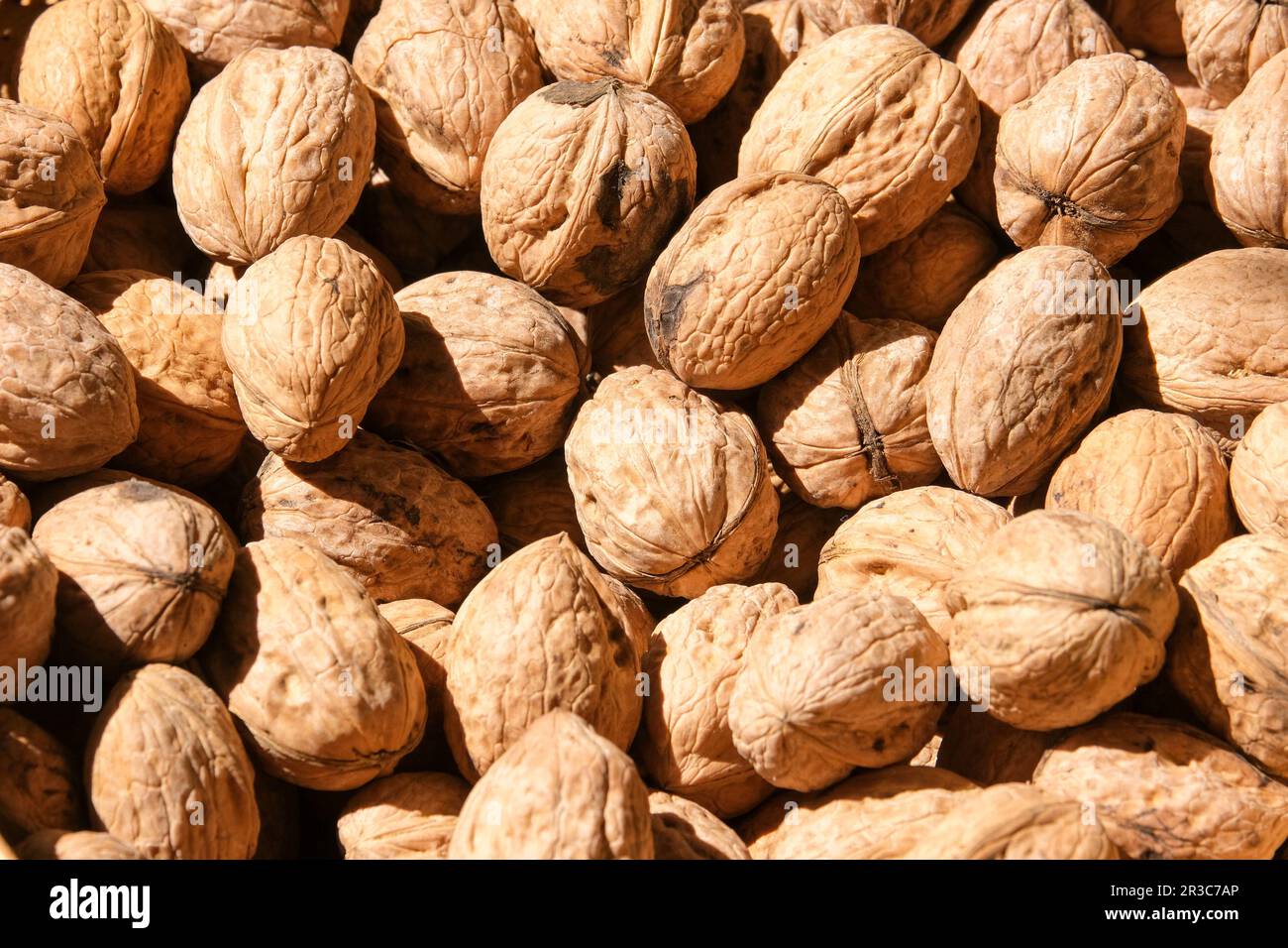 Close up organic whole unopened walnut shells under sun. Unopened ...