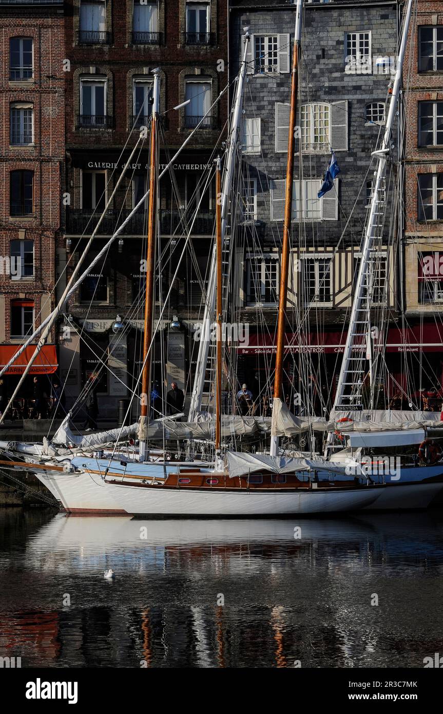 Yachts moored in the Vieux Bassin at Honfleur, Calvados, Normandy, France, against a backdrop of tall and narrow houses dating from the 1600s and 1700s that line the Quai Sainte-Catherine.  The Vieux Bassin (Old Basin, Harbour or Dock) was begun in 1668 as a new harbour for Honfleur. Stock Photo