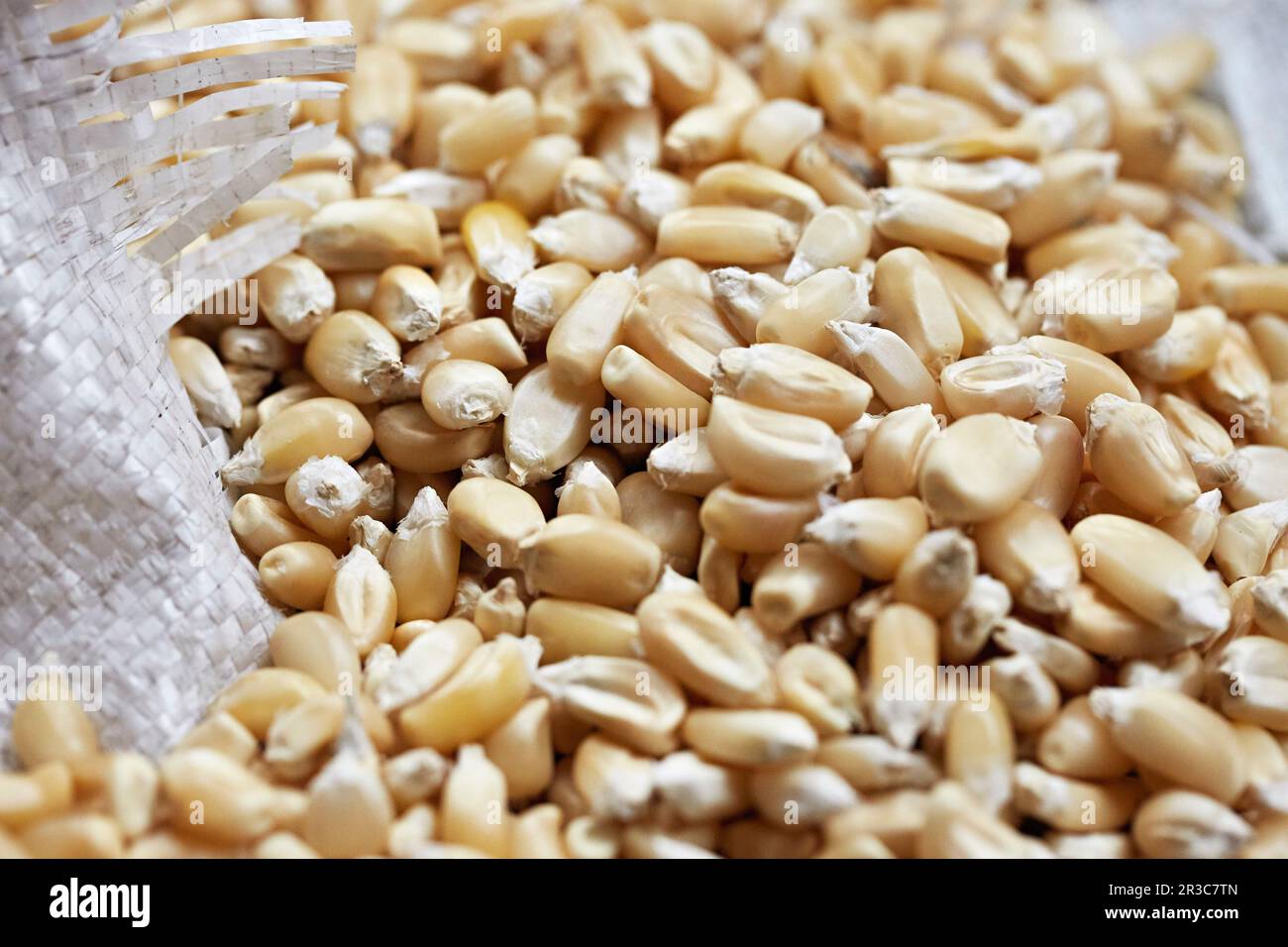 Pile of maize bursting from a sack Stock Photo Alamy