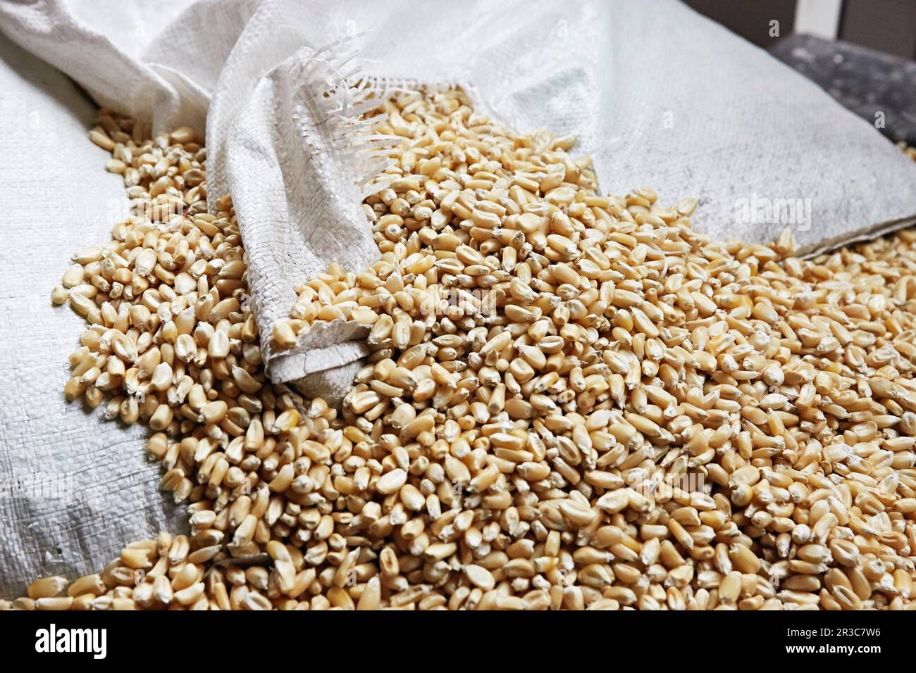 Pile of maize bursting from a sack Stock Photo Alamy