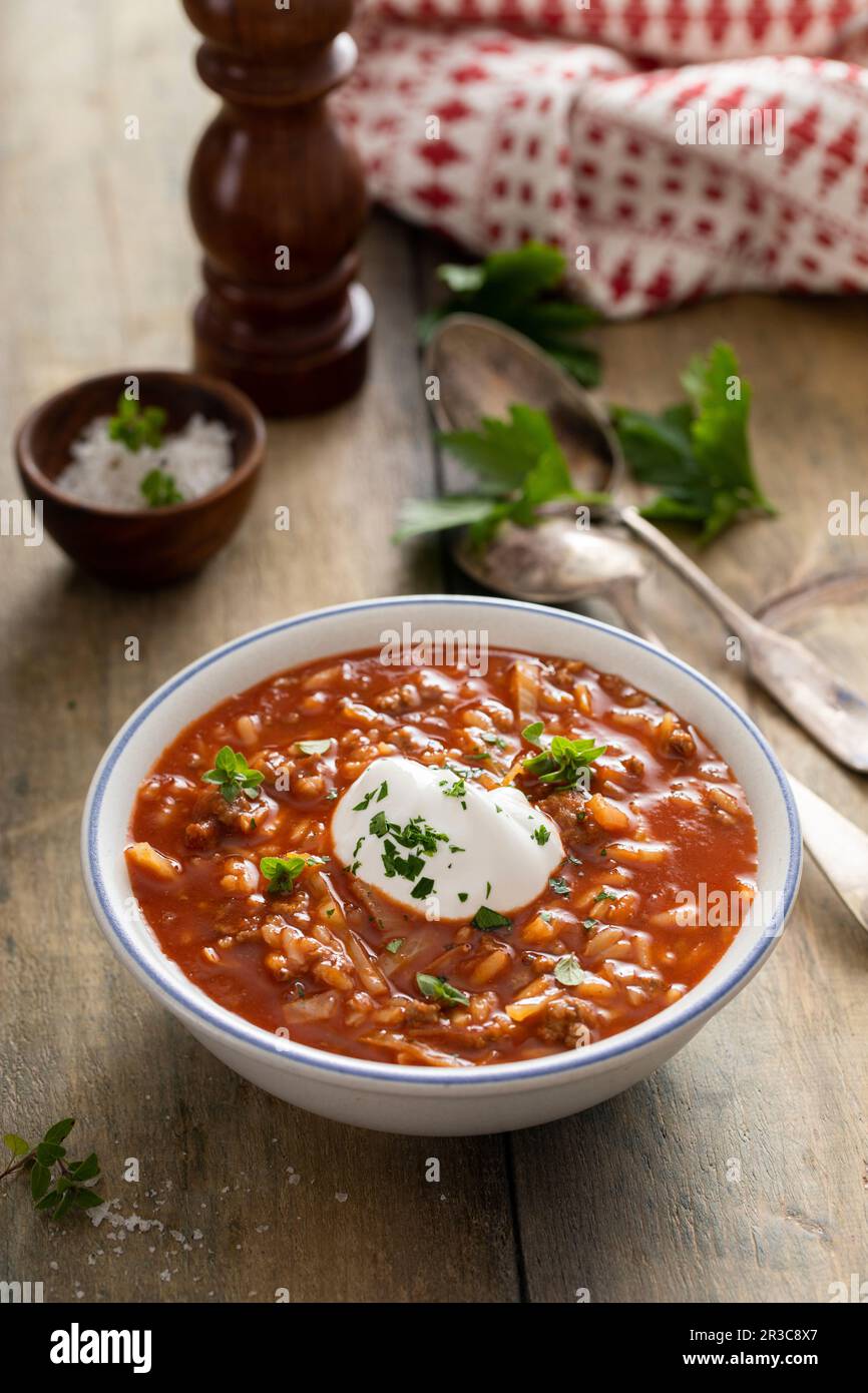 Cabbage roll and tomato soup with ground beef and rice, polish or ukrainian recipe Stock Photo