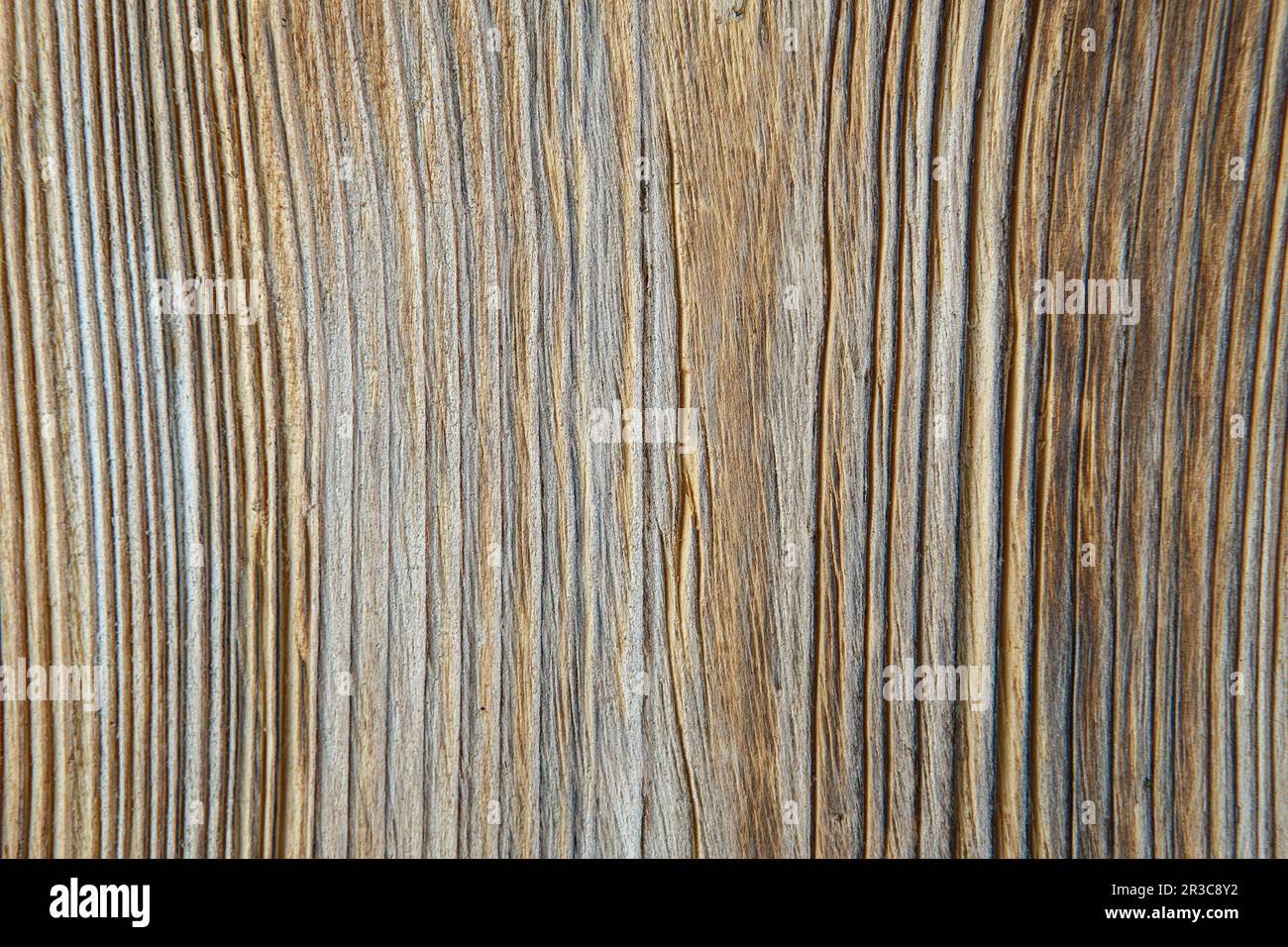 Wooden background texture. Brown scratched wooden cutting board. Wood texture Stock Photo