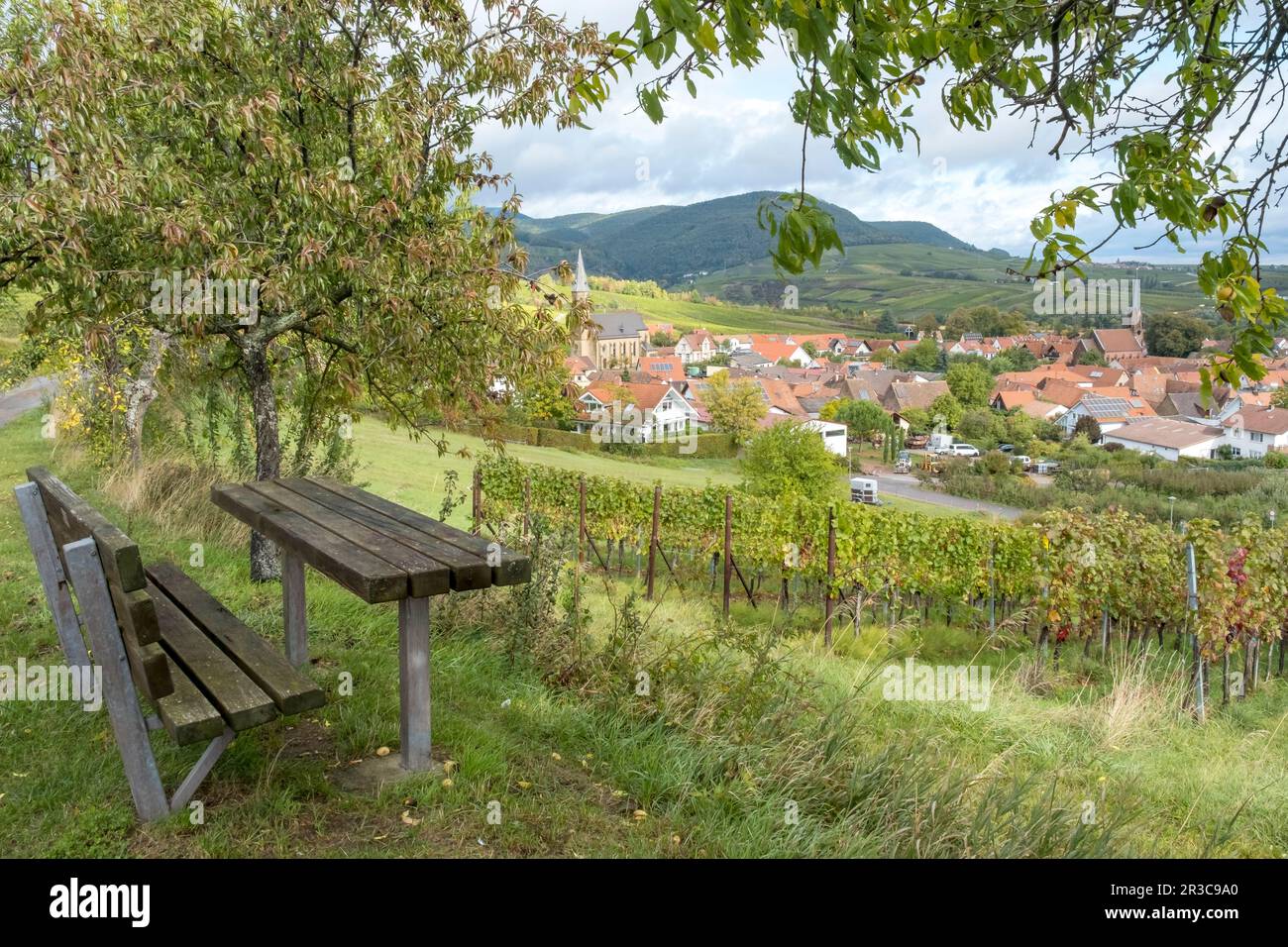 In the vineyards above Birkweiler, Southern Palatinate Stock Photo