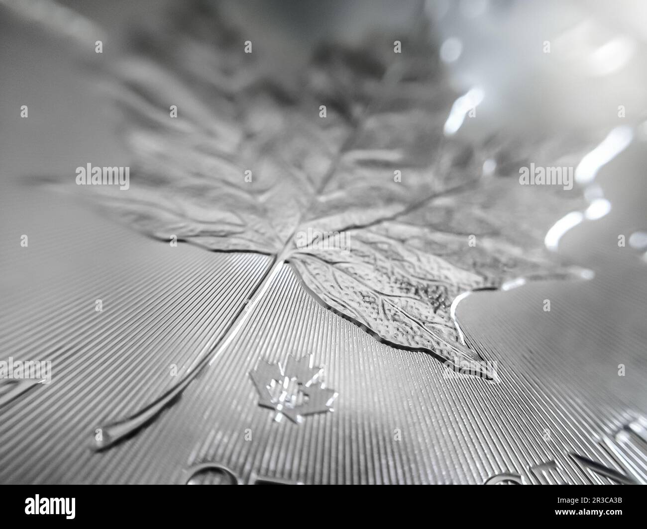 Macro close up of a pure Silver Bullion coin Stock Photo