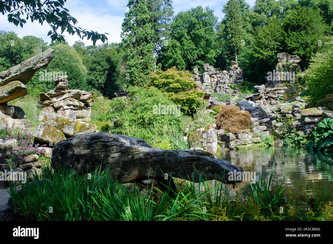 Still pool in rock garden with Gunnera and trees  in background Stock Photo