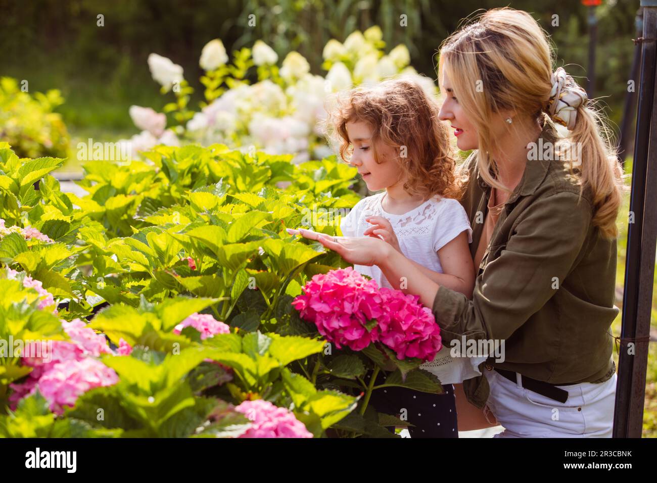 The young mother shows her little daughter hydrangea flowers in the