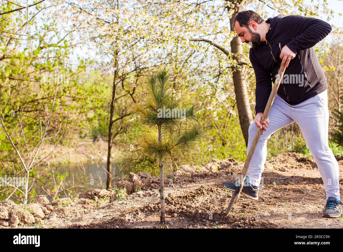 Working hard in early spring and enjoy results later Stock Photo