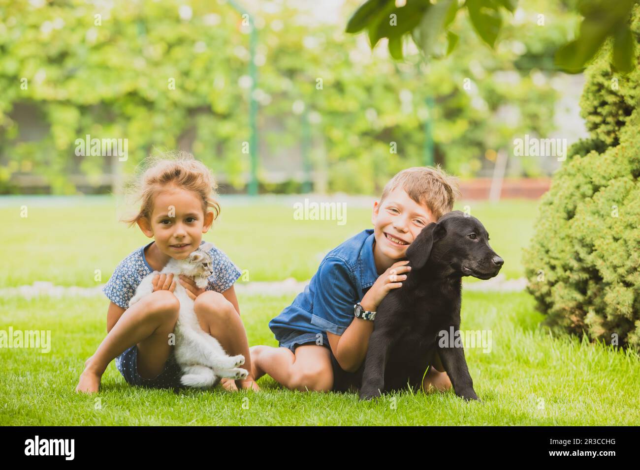 Close relationship between siblings and their pets Stock Photo