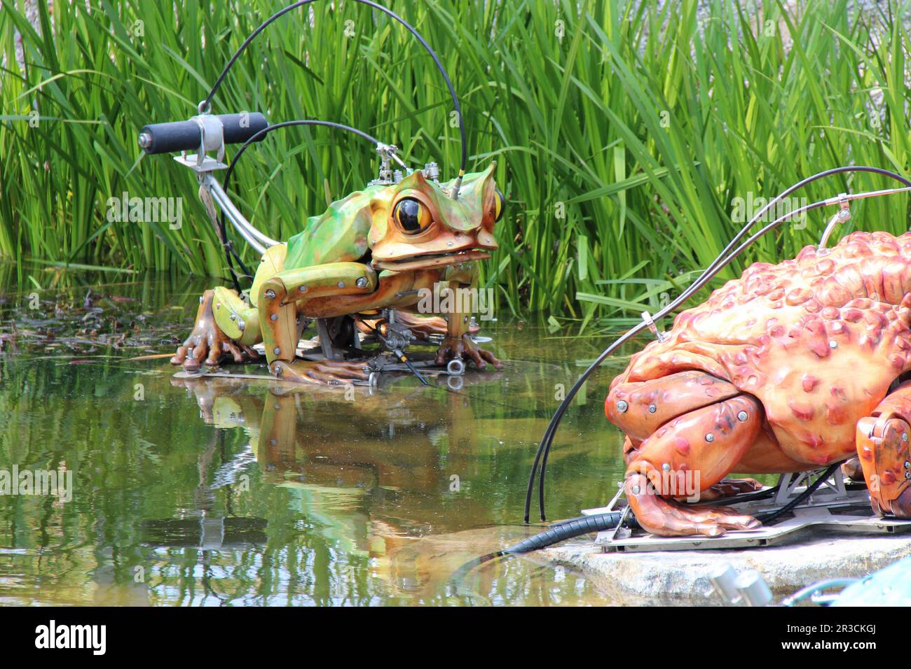 frogs (automaton) in la roche-sur-yon in france Stock Photo