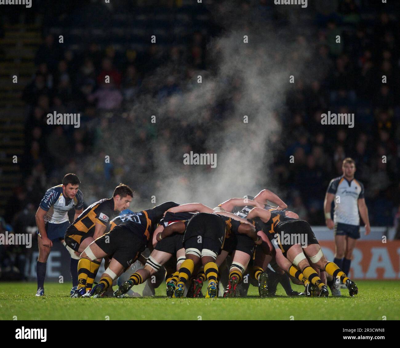 Charlie Davies of London Wasps puts the ball into a set scrum during the LV= Cup second round match between London Wasps and Worcester Warriors at Ada Stock Photo