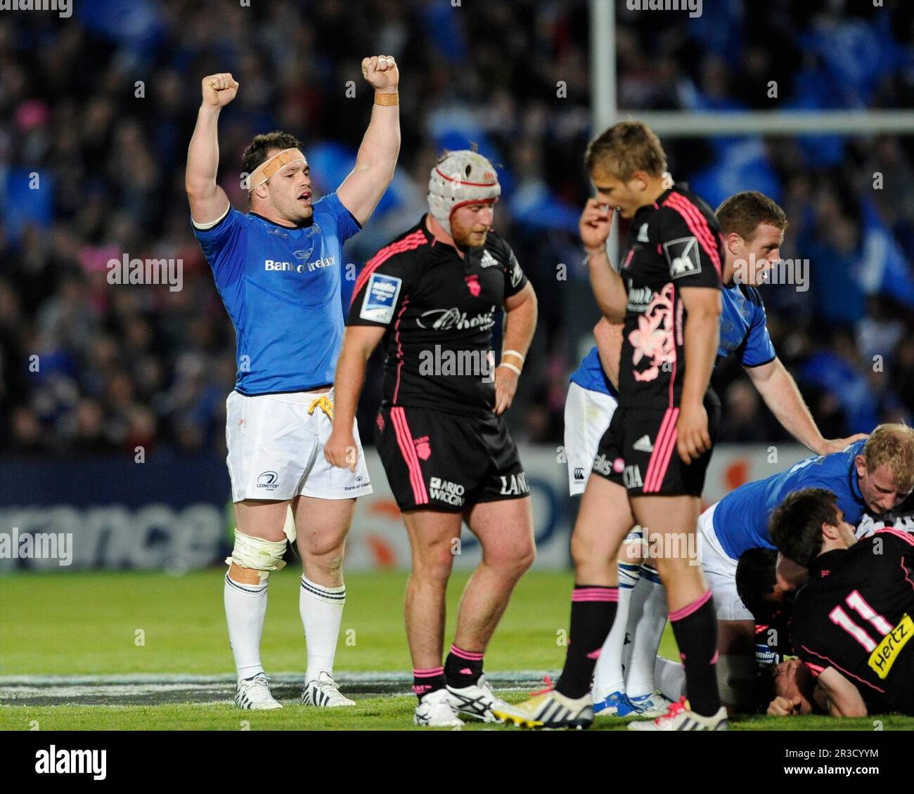 Cian Healy of Leinster celebrates at the final whistle of the Amlin Challenge Cup Final between Leinster Rugby and Stade Francais at the RDS Arena, Du Stock Photo