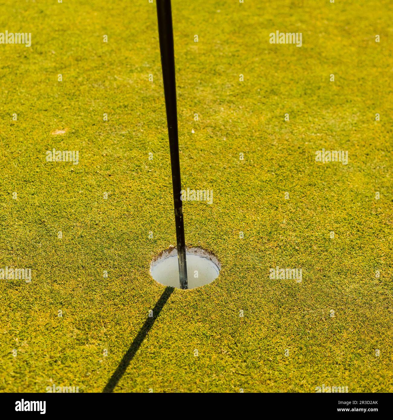 Golf Course putting green hole with flag pole Stock Photo Alamy
