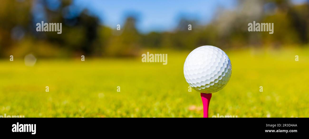 Golf Ball on a Tee at a Golf Course Stock Photo