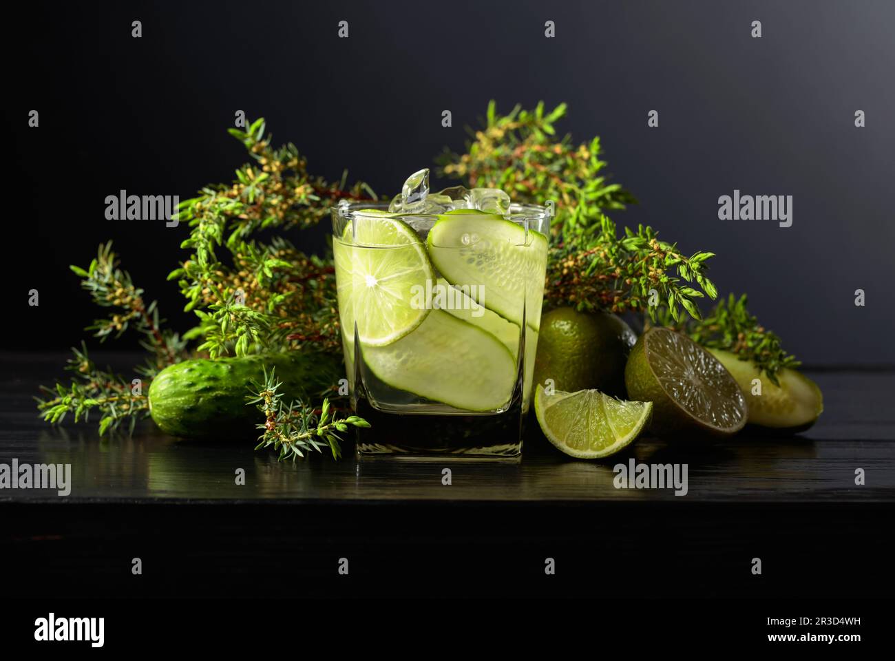 Cocktail Gin-tonic with ice, lime, cucumber, and juniper branches on a black background. Stock Photo