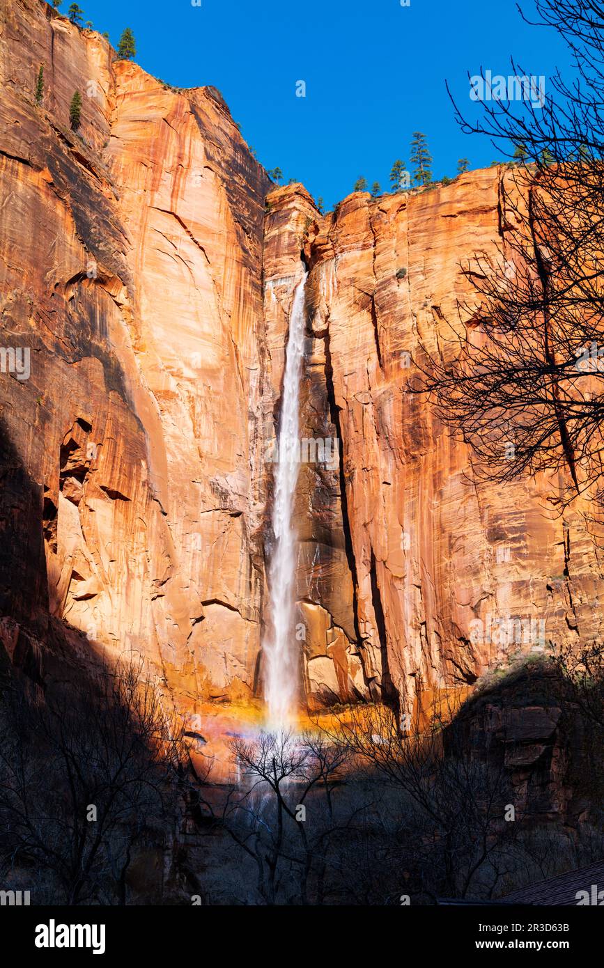 Telephone Waterfall viewed from Riverside Walk Trail; Zion National ...