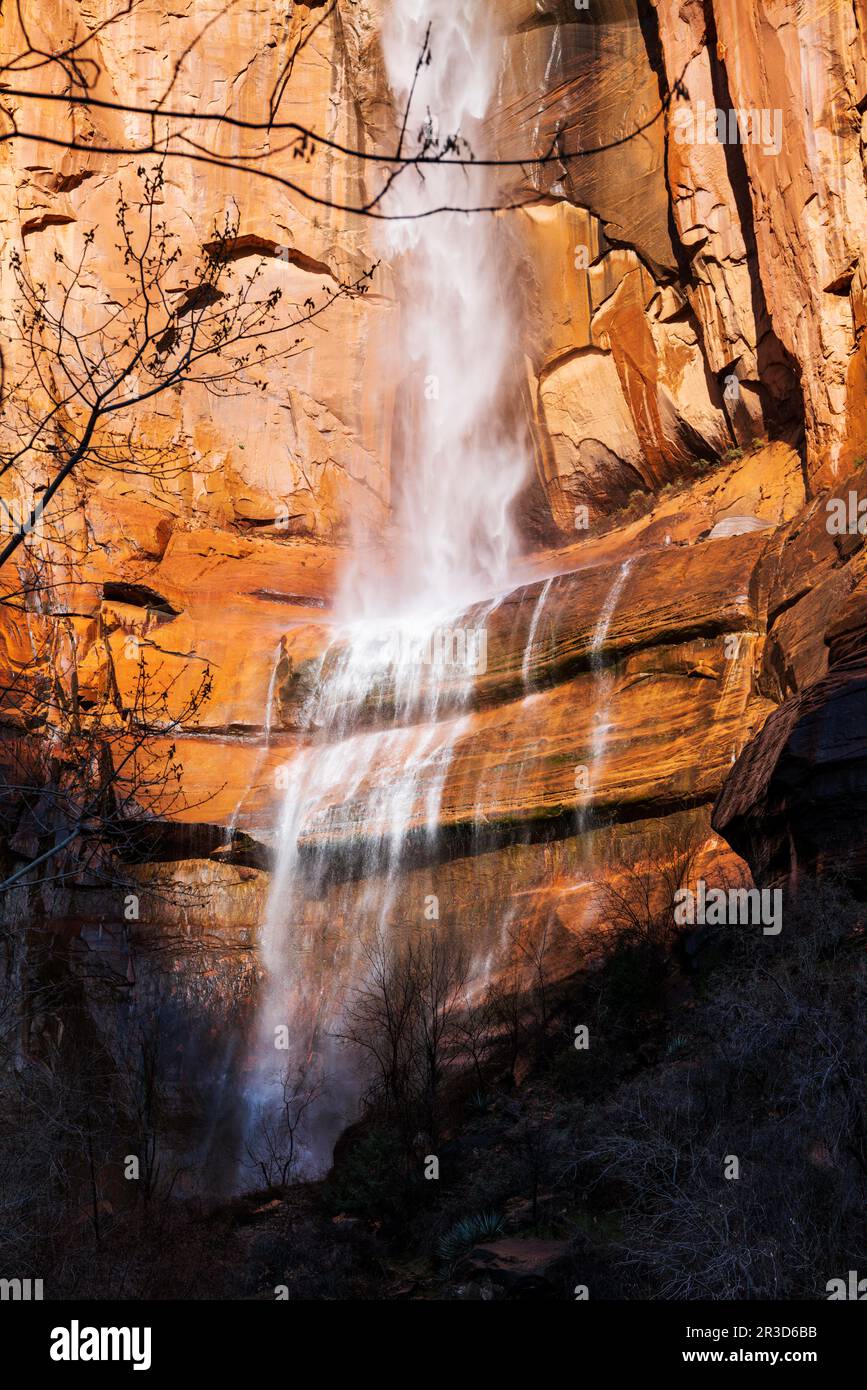 Telephone Waterfall viewed from Riverside Walk Trail; Zion National ...