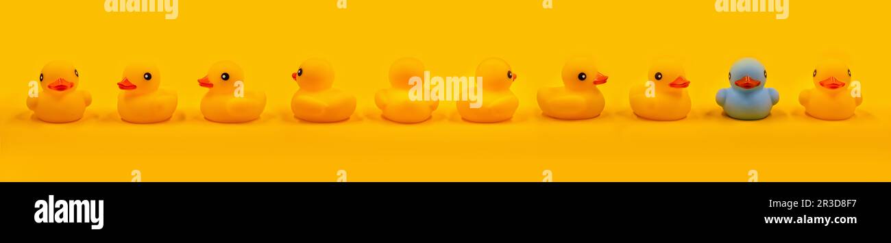 Yellow rubber ducks and one turquoise in a row Stock Photo