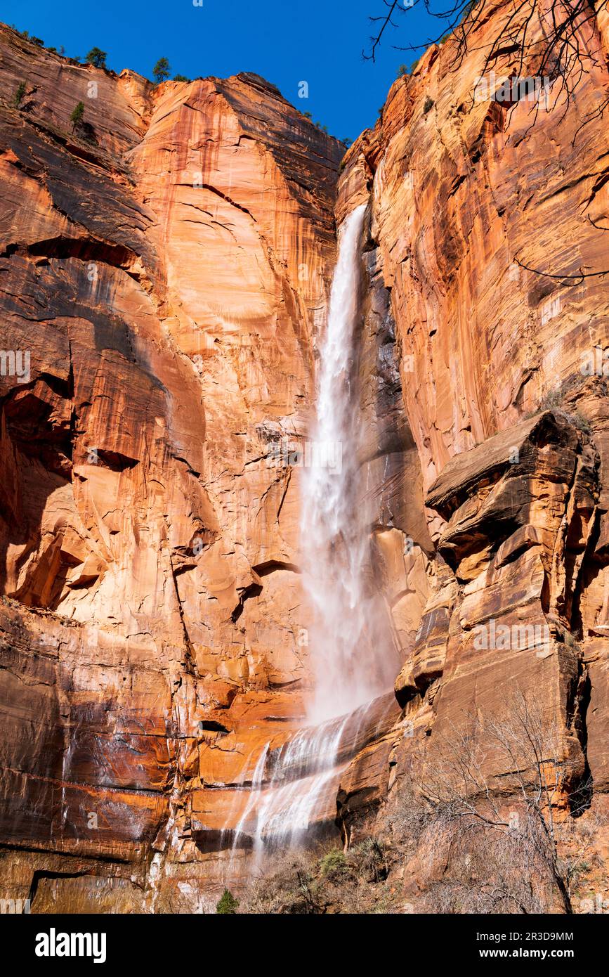Telephone Waterfall viewed from Riverside Walk Trail; Zion National ...