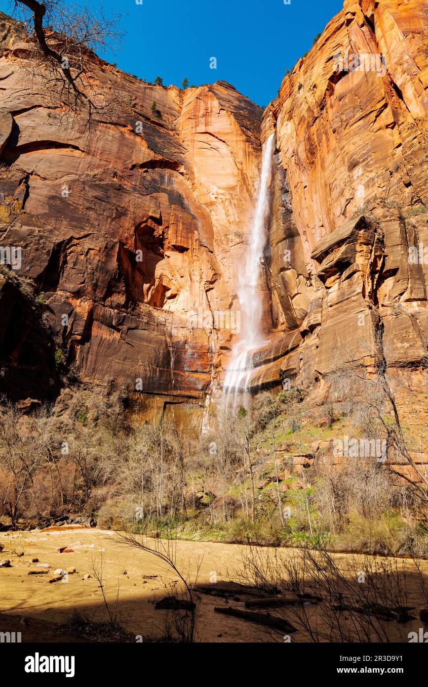 Telephone Waterfall viewed from Riverside Walk Trail; Zion National ...